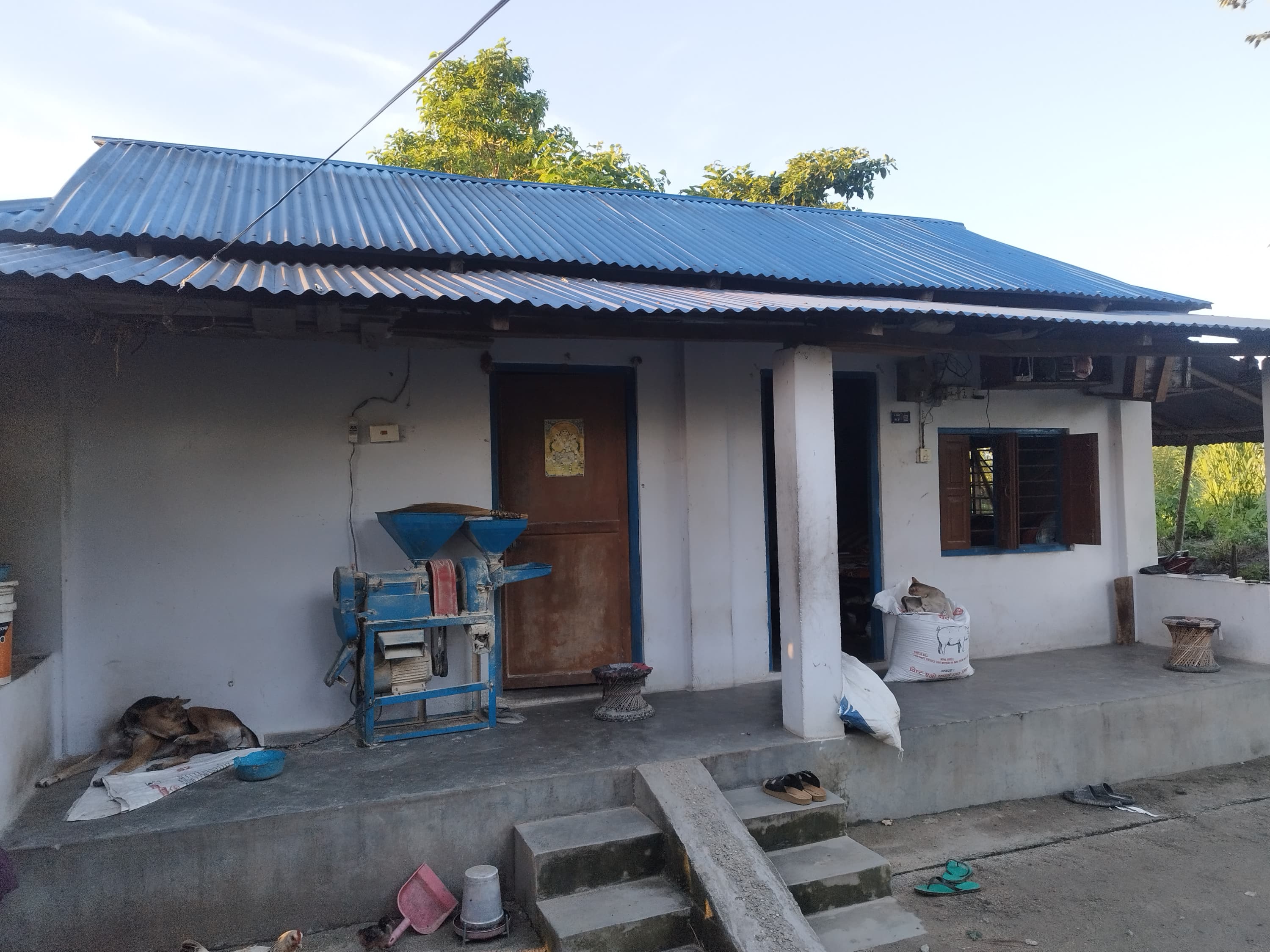 About Our Farm